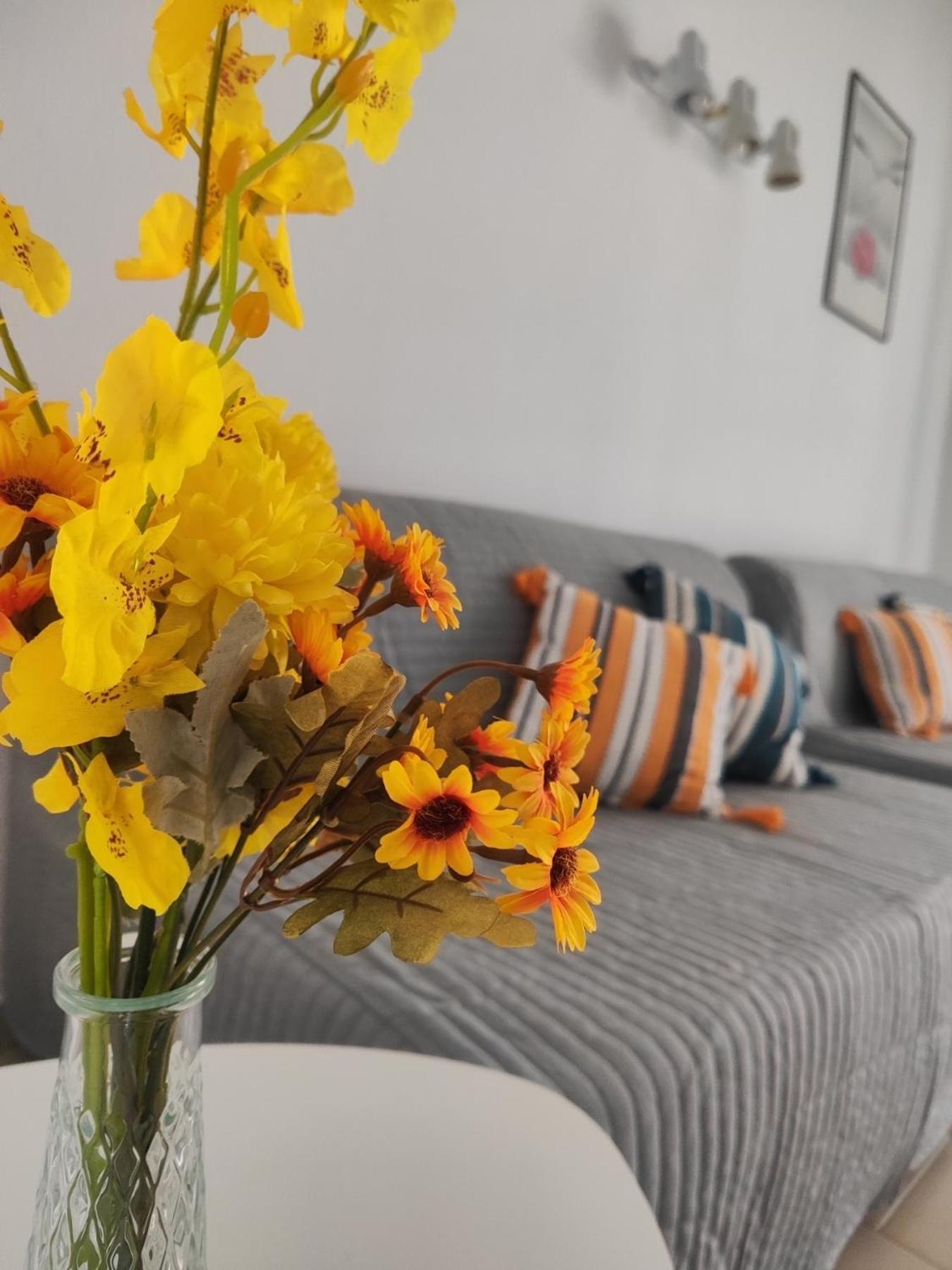 Appartement Aranna *