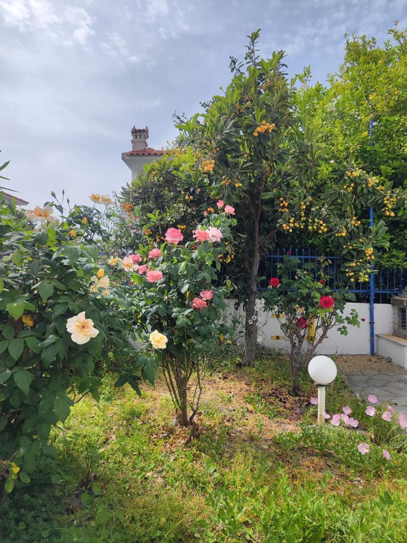 Aranna Appartement